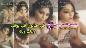 سكس هيفاء وهبي بتمص زب وبتستحمى وبتلعب في كسها وتدعك زبه بصابون حصريا كس العرب